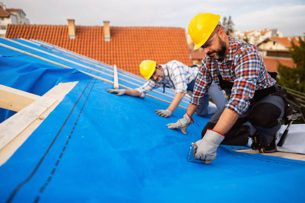 Best Roof Waterproofing Services  in Sloan, IA
