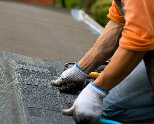 Best Emergency Roof Repair  in Sloan, IA